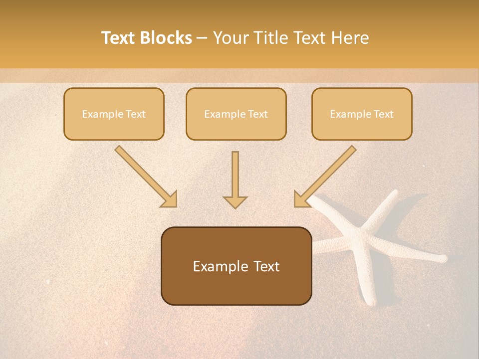 Vacation Coast Animal PowerPoint Template