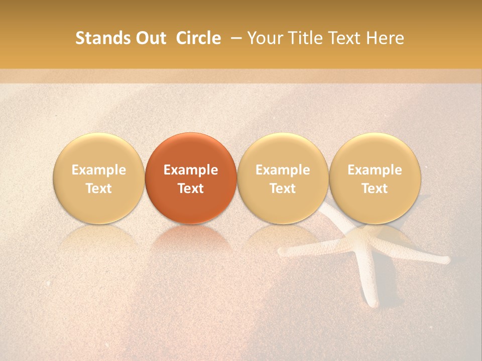 Vacation Coast Animal PowerPoint Template