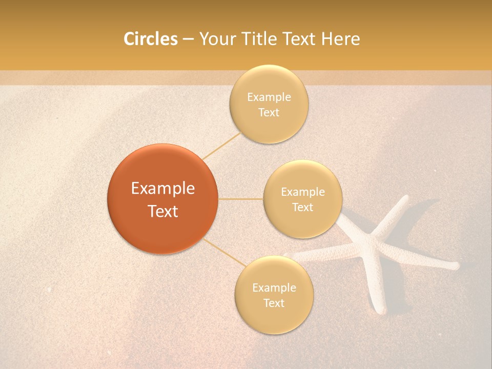 Vacation Coast Animal PowerPoint Template