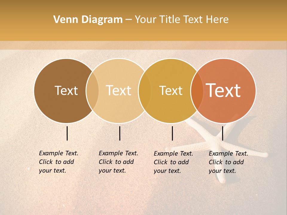 Vacation Coast Animal PowerPoint Template