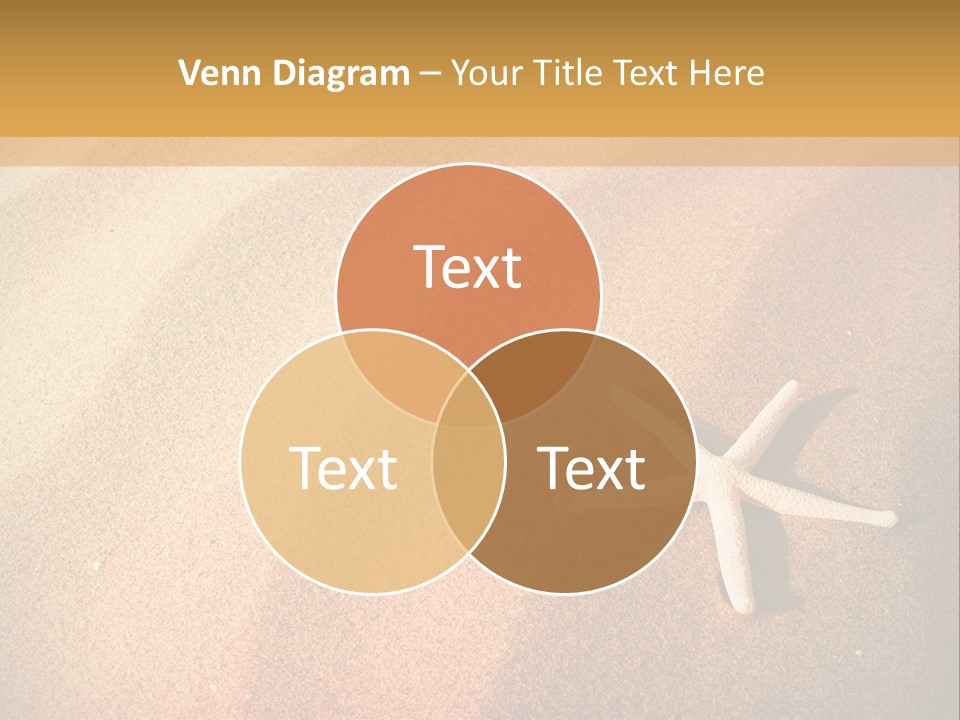 Vacation Coast Animal PowerPoint Template