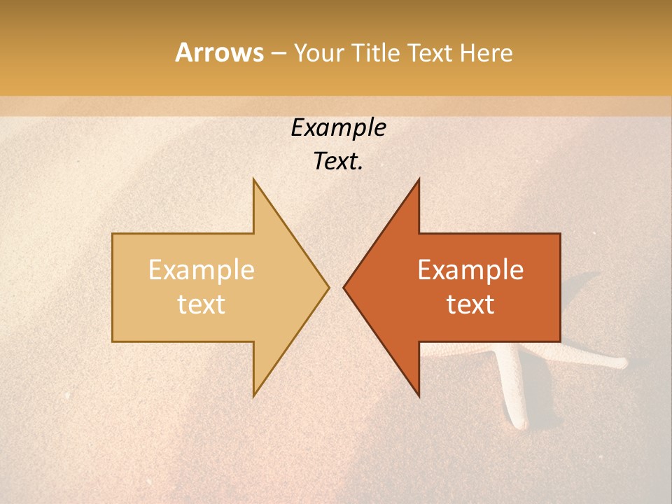 Vacation Coast Animal PowerPoint Template