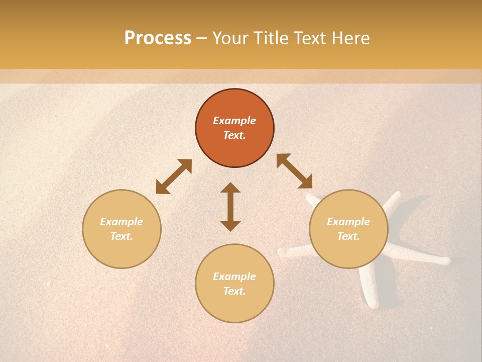 Vacation Coast Animal PowerPoint Template