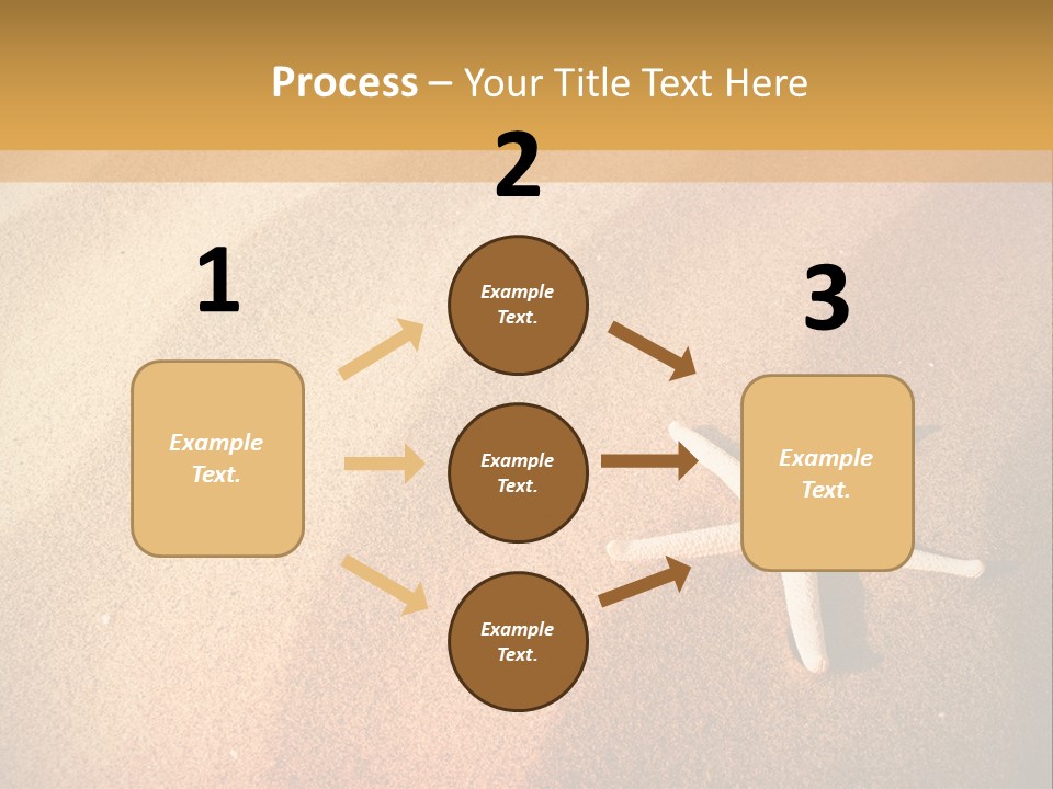 Vacation Coast Animal PowerPoint Template