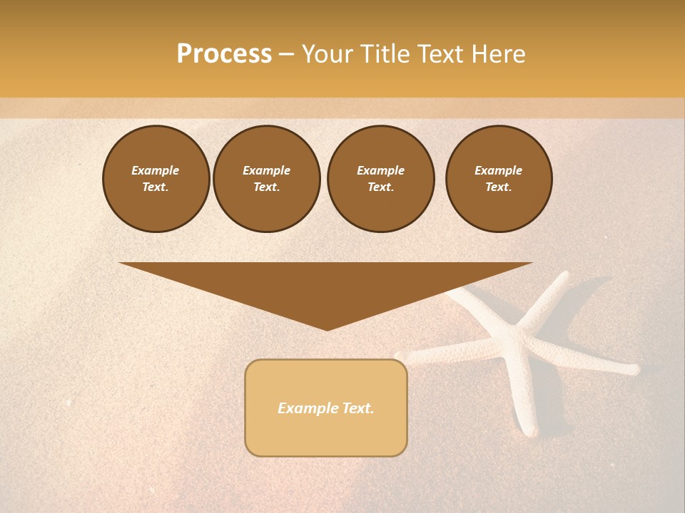 Vacation Coast Animal PowerPoint Template