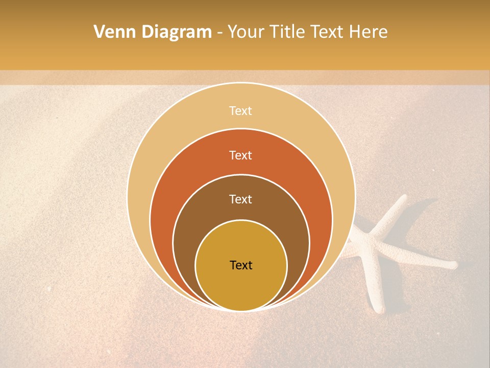 Vacation Coast Animal PowerPoint Template