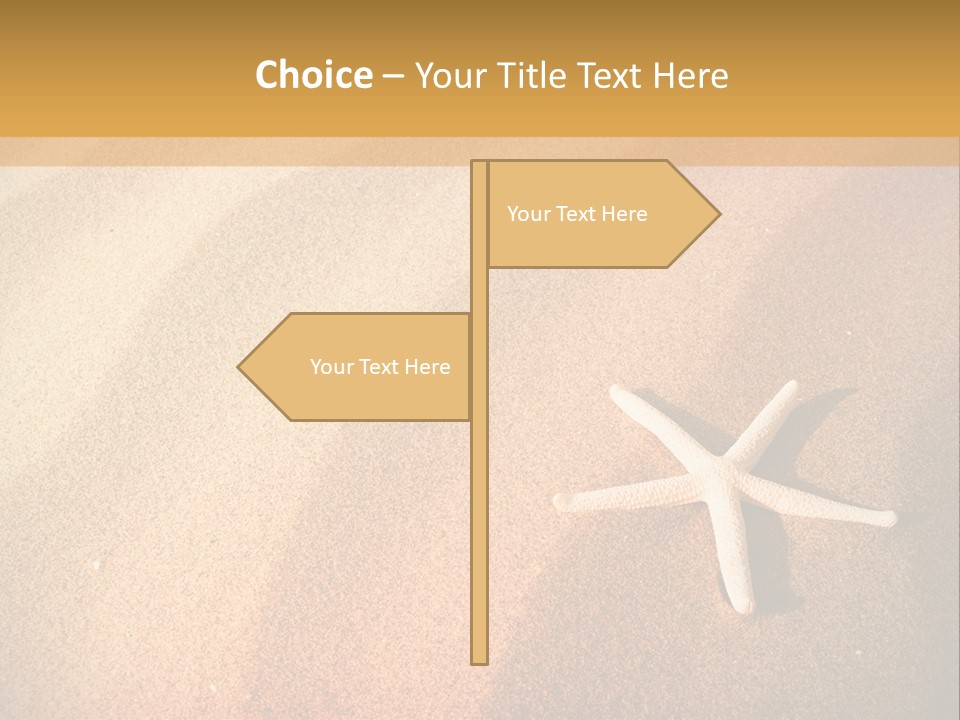 Vacation Coast Animal PowerPoint Template