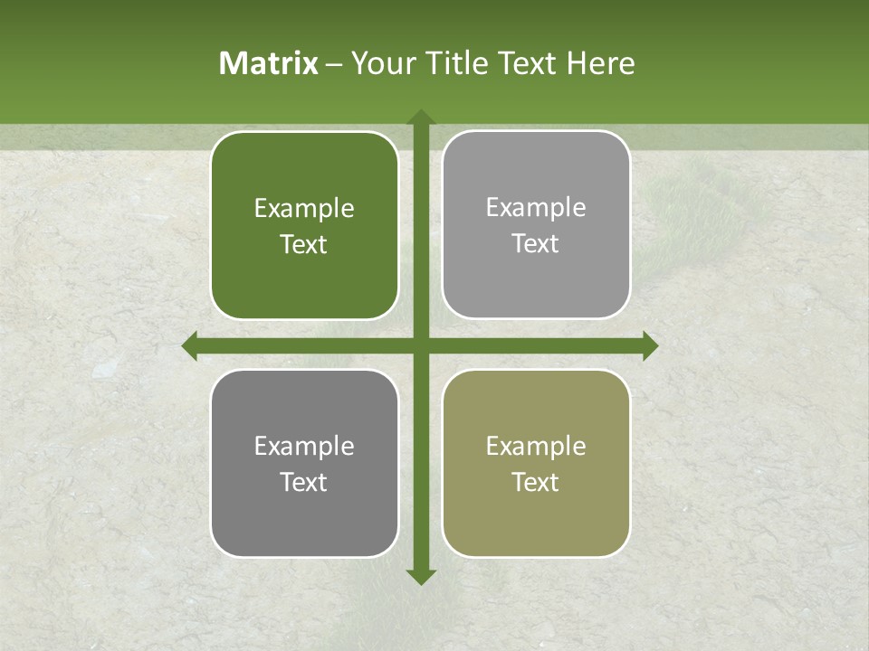 Toe Concept Foot PowerPoint Template