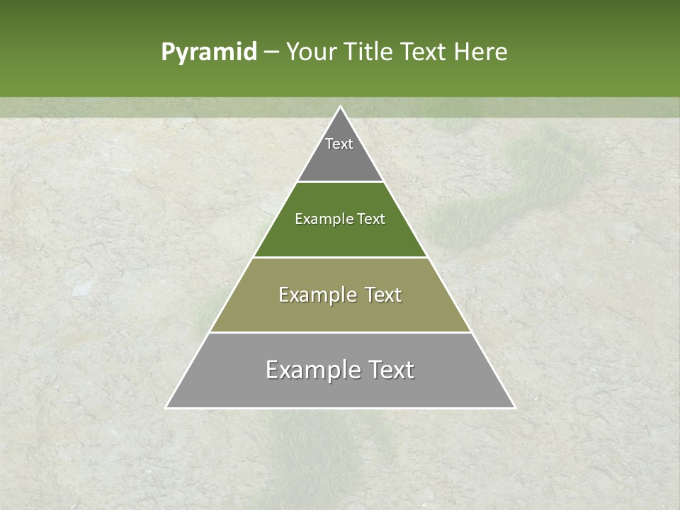 Toe Concept Foot PowerPoint Template