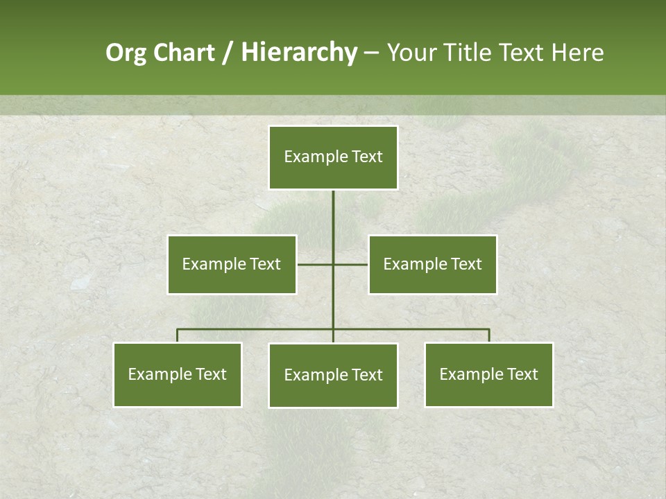 Toe Concept Foot PowerPoint Template