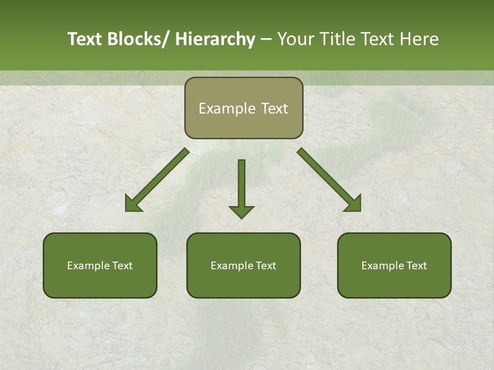 Toe Concept Foot PowerPoint Template