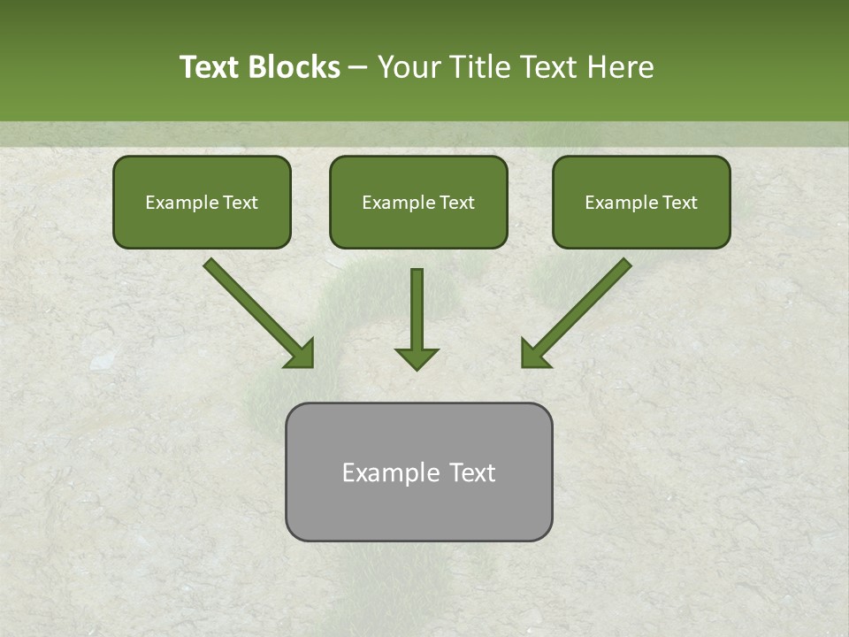 Toe Concept Foot PowerPoint Template