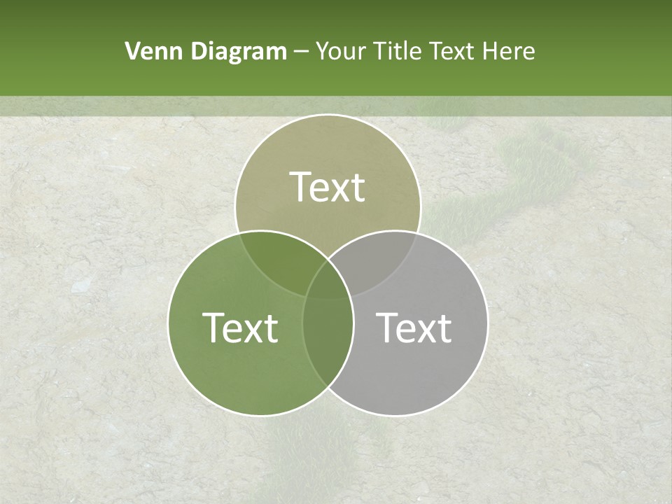 Toe Concept Foot PowerPoint Template