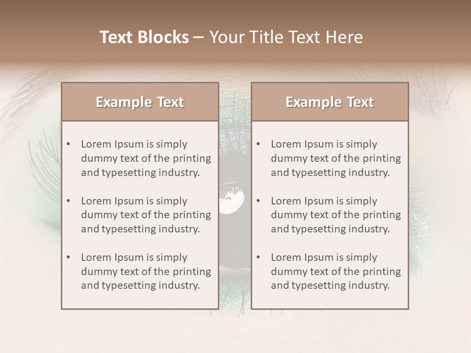 Perfect Professional Fashion PowerPoint Template