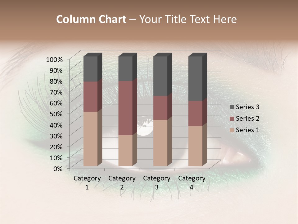 Perfect Professional Fashion PowerPoint Template