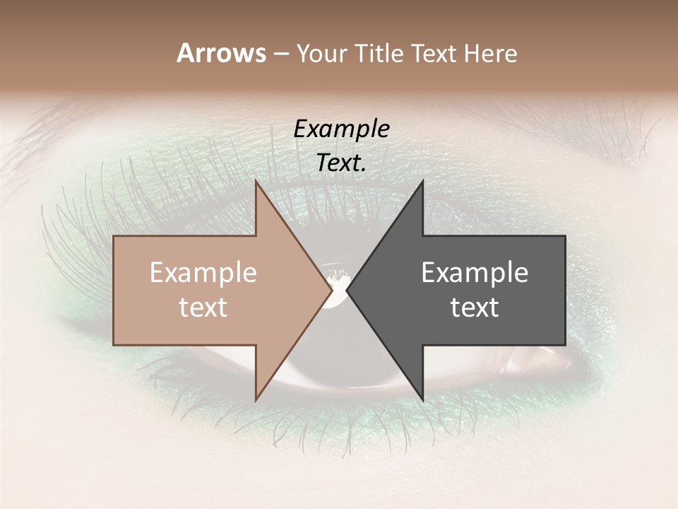 Perfect Professional Fashion PowerPoint Template