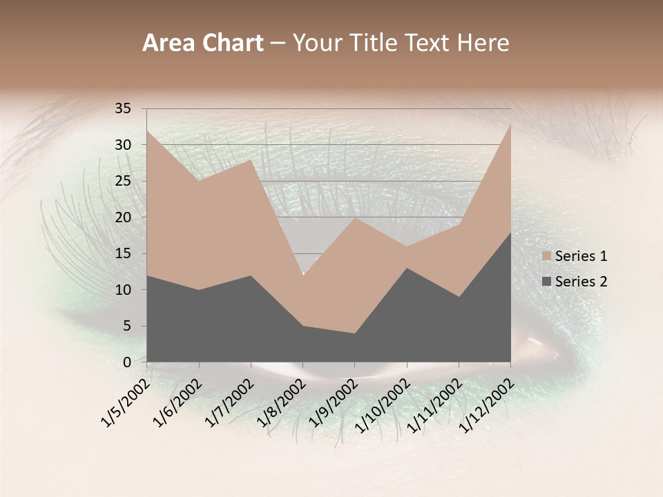 Perfect Professional Fashion PowerPoint Template