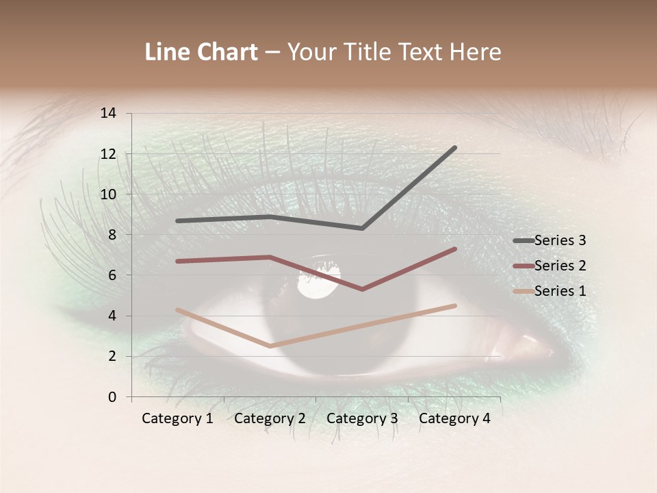 Perfect Professional Fashion PowerPoint Template