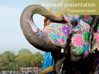 Holi Decorated Elephant India India Festival PowerPoint Template