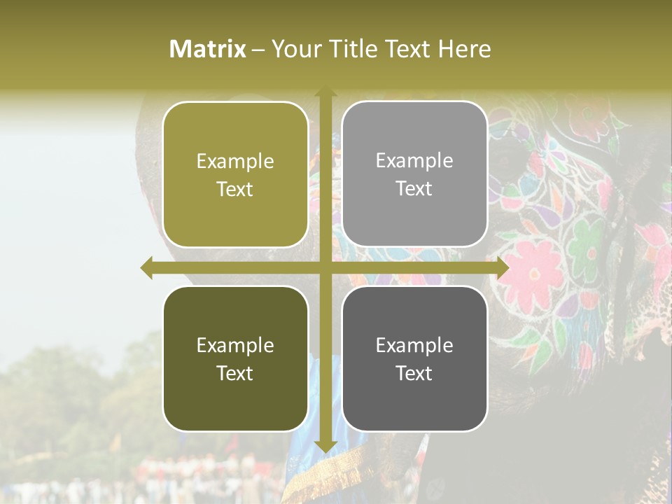 Holi Decorated Elephant India India Festival PowerPoint Template