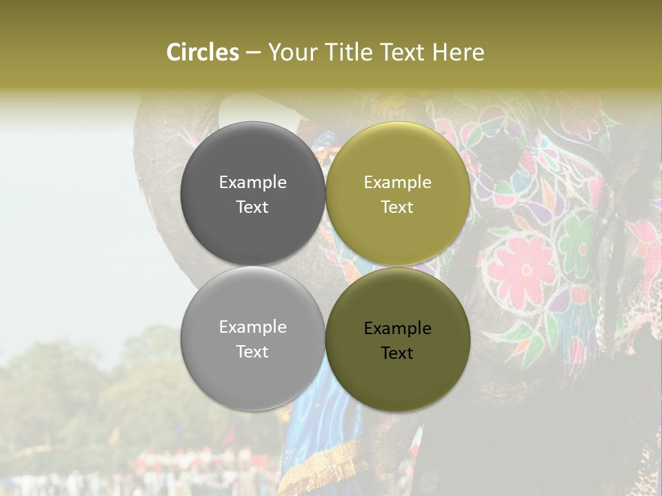 Holi Decorated Elephant India India Festival PowerPoint Template