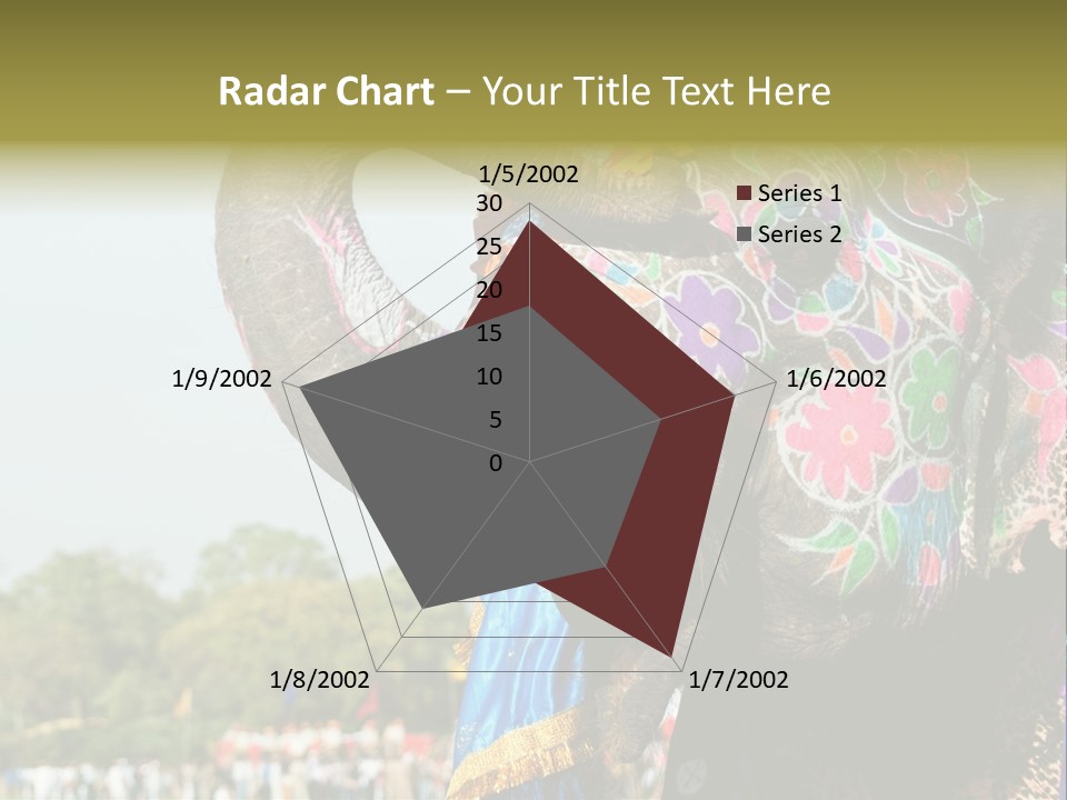 Holi Decorated Elephant India India Festival PowerPoint Template