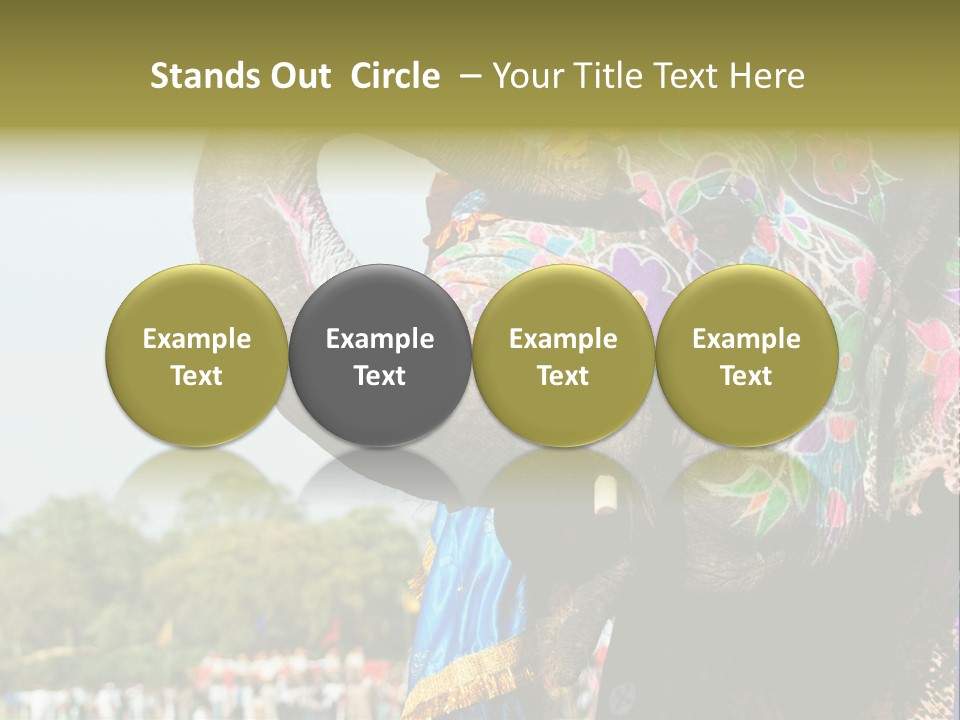 Holi Decorated Elephant India India Festival PowerPoint Template