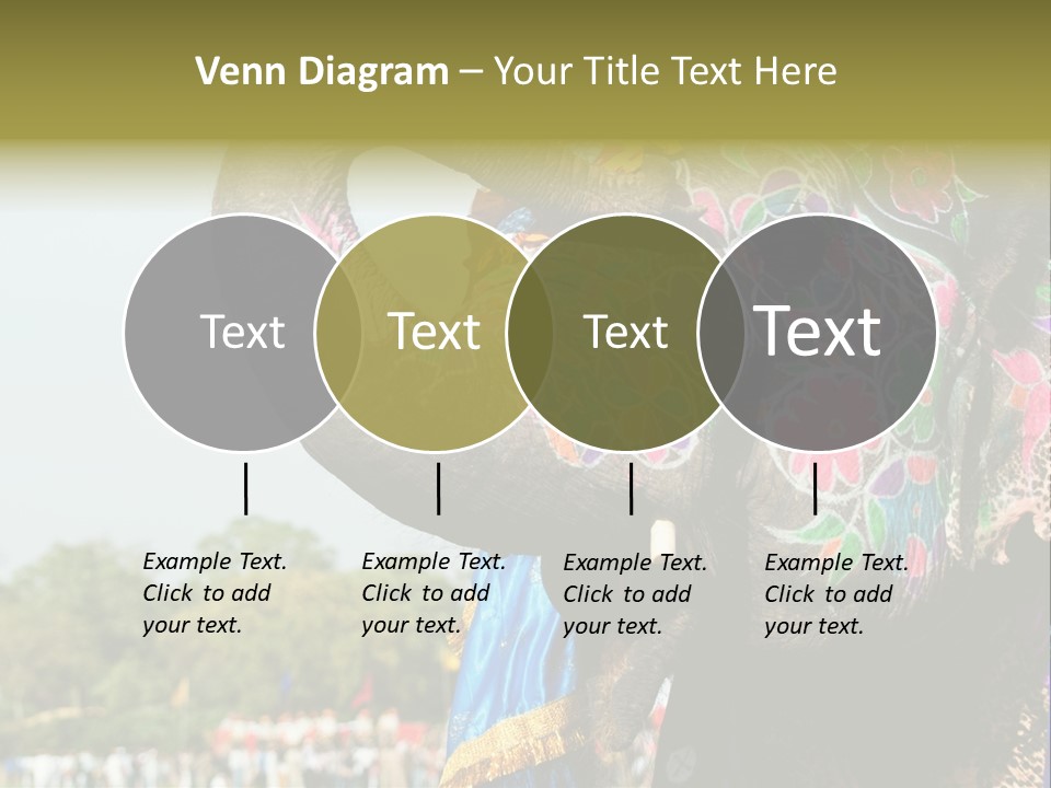 Holi Decorated Elephant India India Festival PowerPoint Template