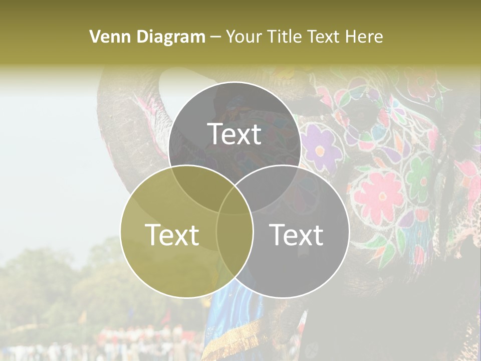 Holi Decorated Elephant India India Festival PowerPoint Template