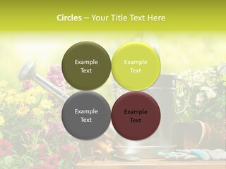 Shovel Flowerbed Tools PowerPoint Template