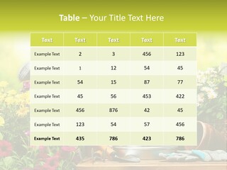 Shovel Flowerbed Tools PowerPoint Template