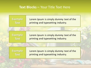 Shovel Flowerbed Tools PowerPoint Template