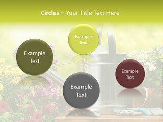 Shovel Flowerbed Tools PowerPoint Template