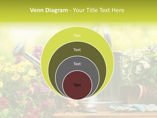 Shovel Flowerbed Tools PowerPoint Template