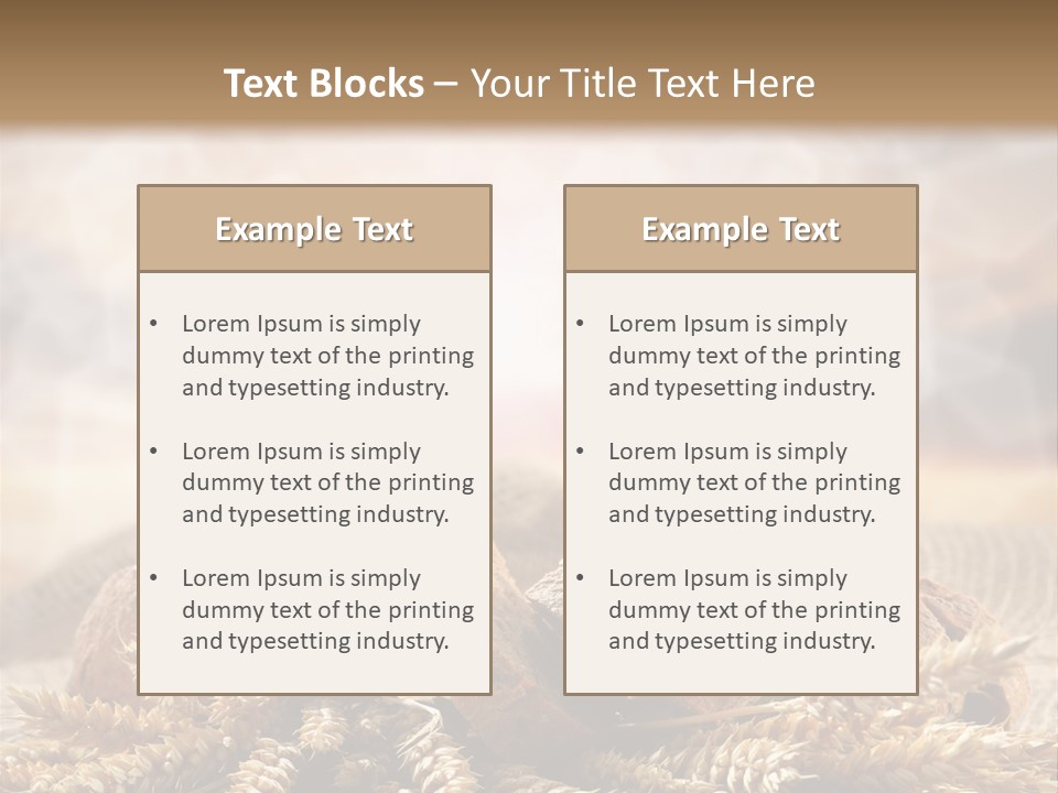 Room Figure Human PowerPoint Template