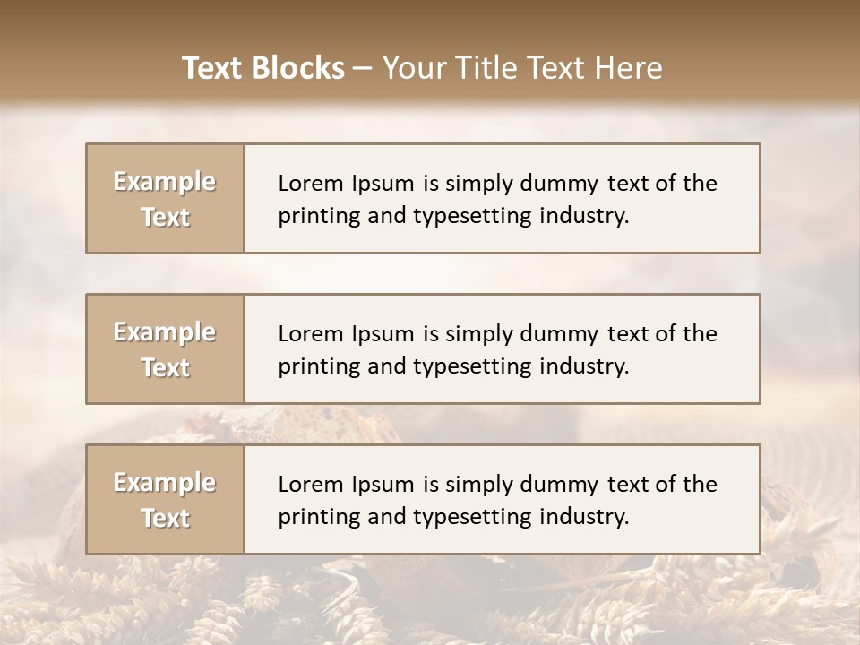 Room Figure Human PowerPoint Template