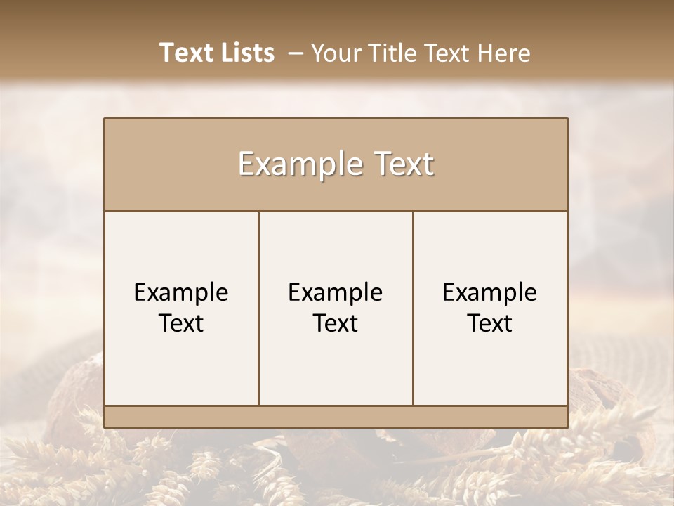 Room Figure Human PowerPoint Template