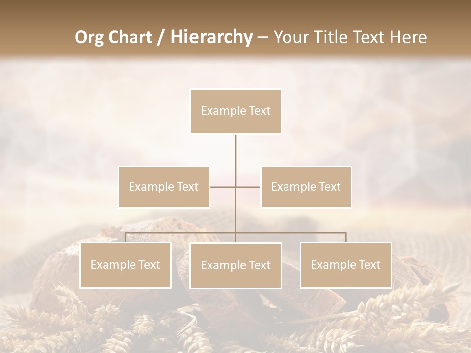 Room Figure Human PowerPoint Template