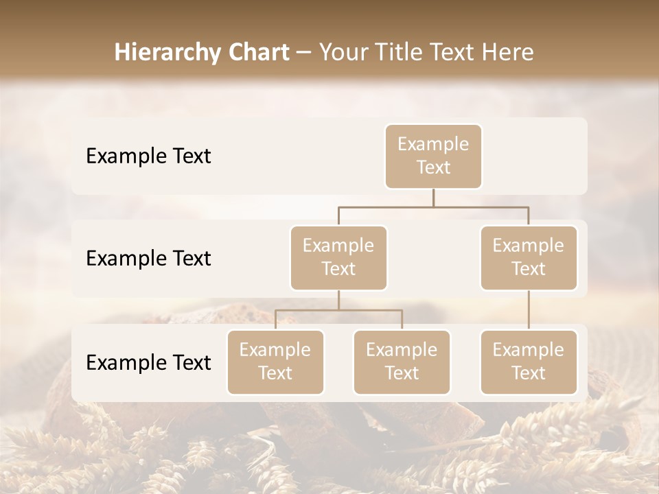 Room Figure Human PowerPoint Template