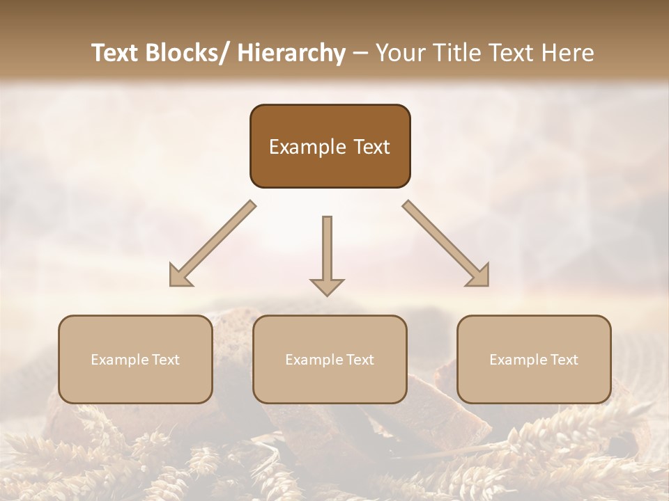 Room Figure Human PowerPoint Template