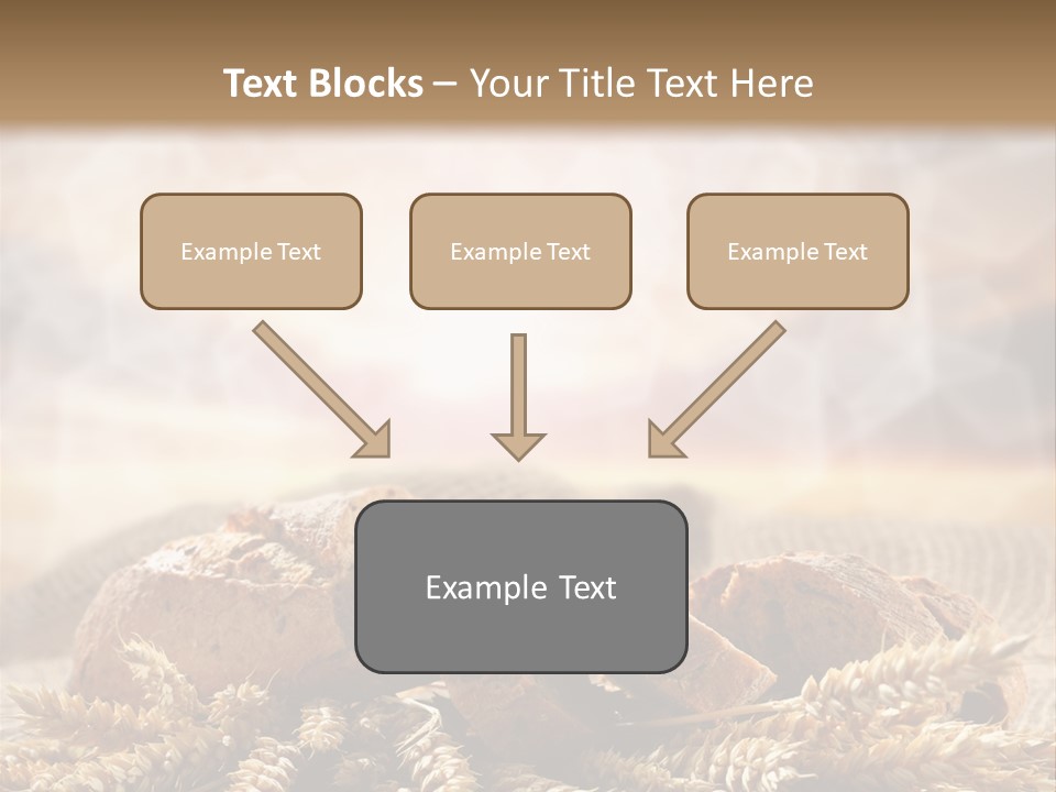 Room Figure Human PowerPoint Template