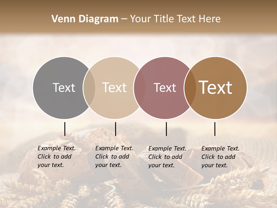 Room Figure Human PowerPoint Template