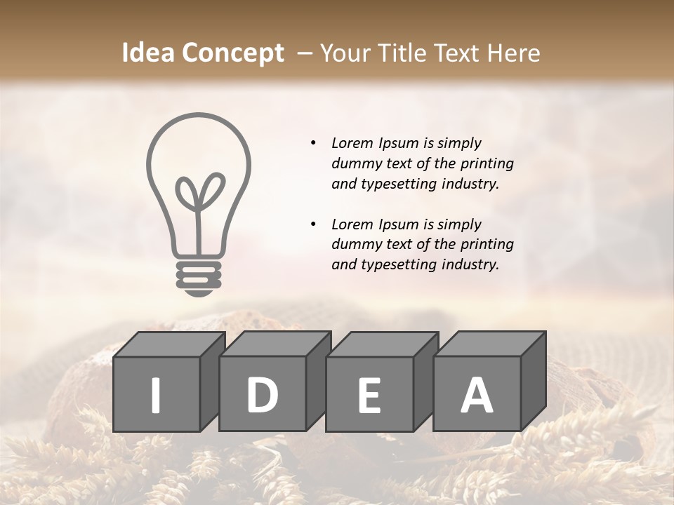 Room Figure Human PowerPoint Template