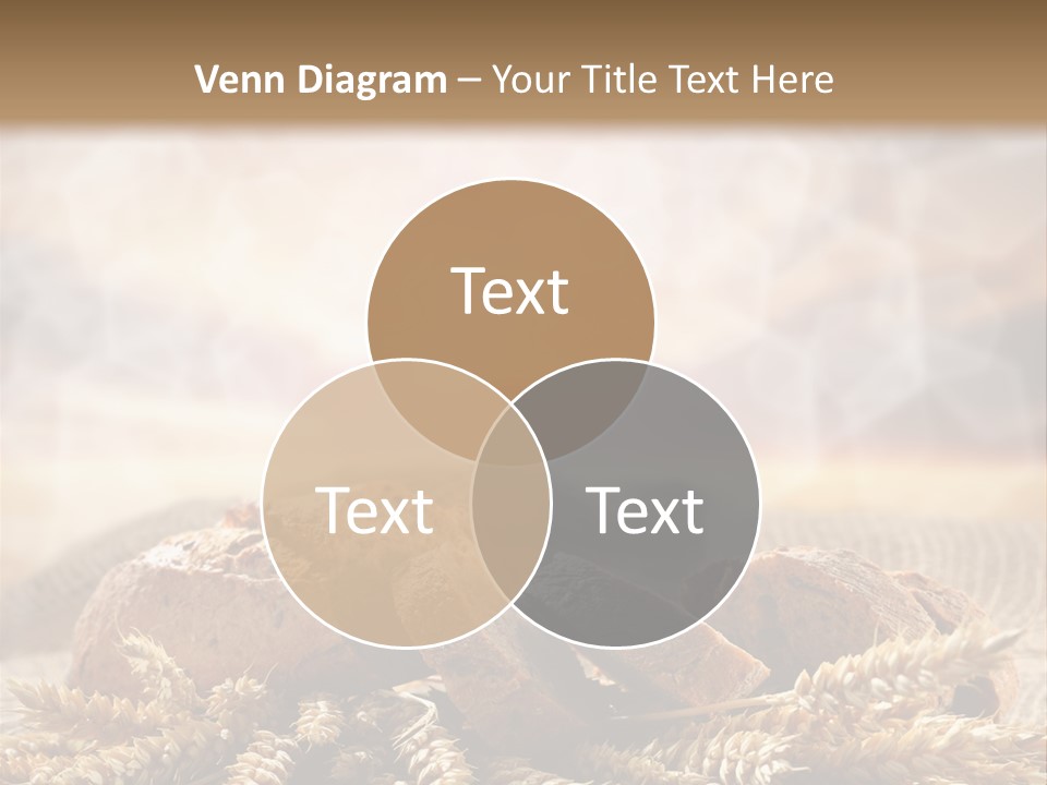 Room Figure Human PowerPoint Template