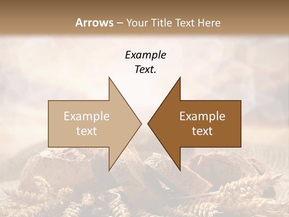 Room Figure Human PowerPoint Template