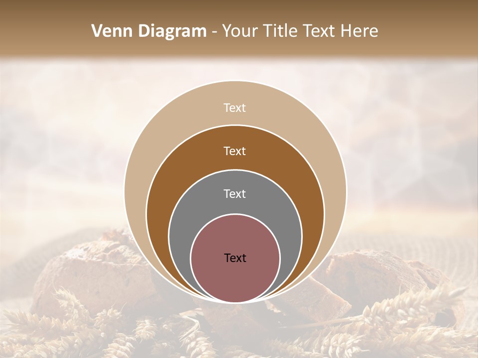 Room Figure Human PowerPoint Template