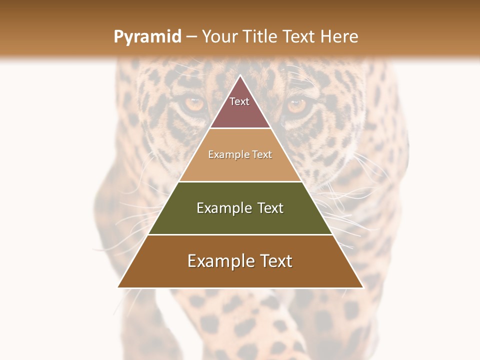 Bu Ine Humor Per On PowerPoint Template