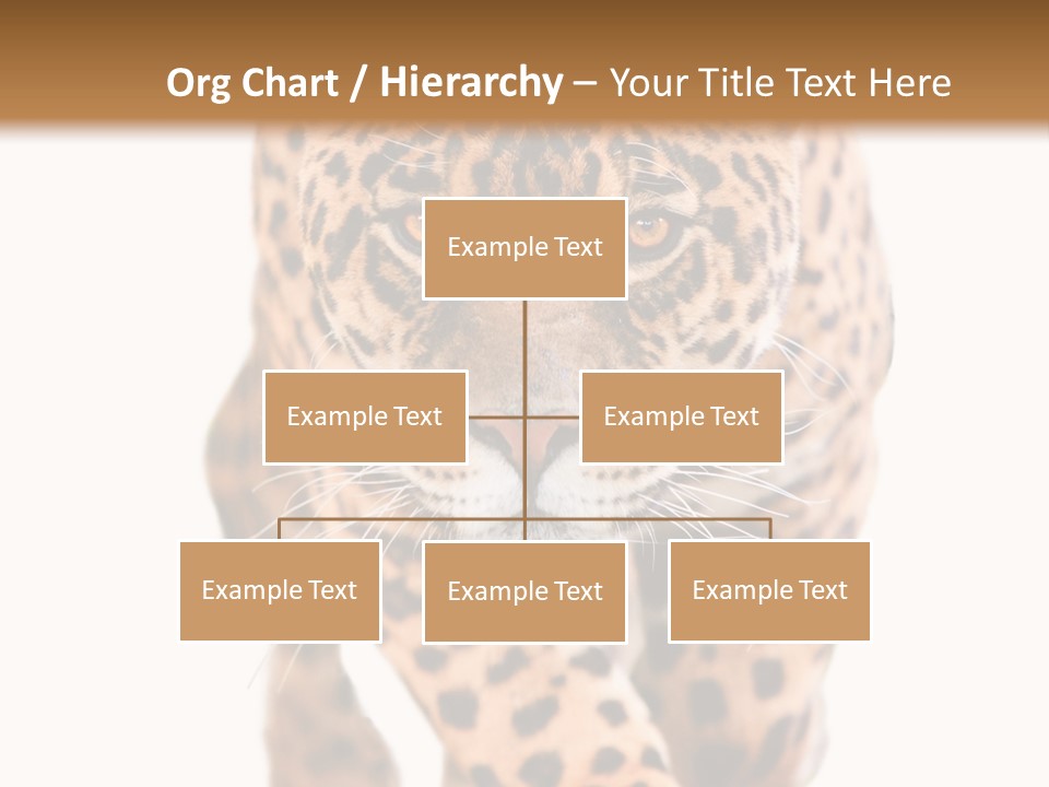 Bu Ine Humor Per On PowerPoint Template