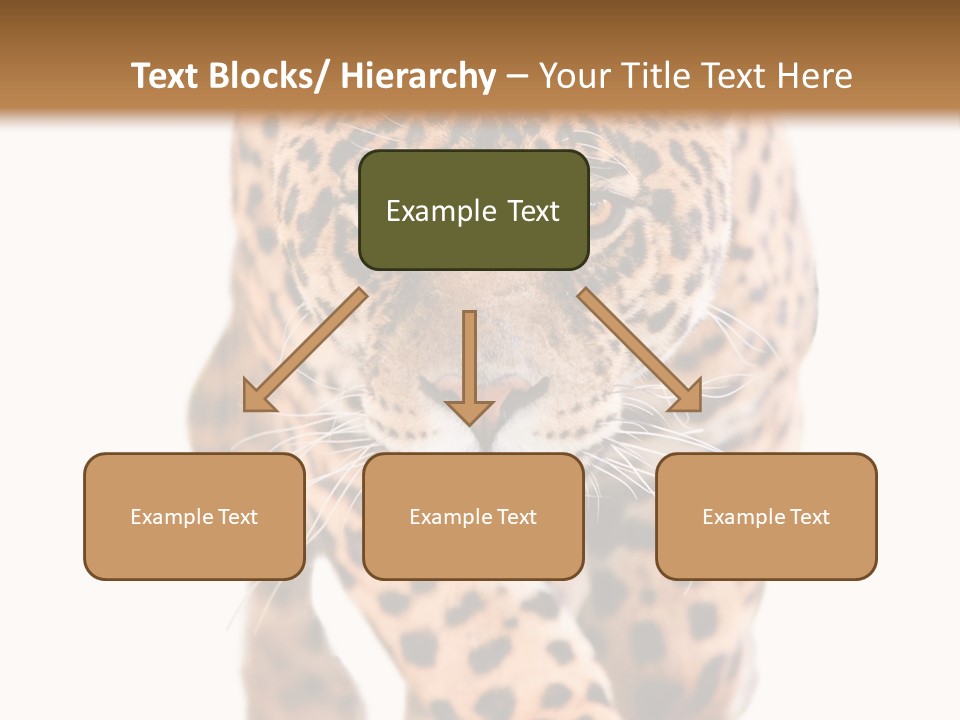 Bu Ine Humor Per On PowerPoint Template