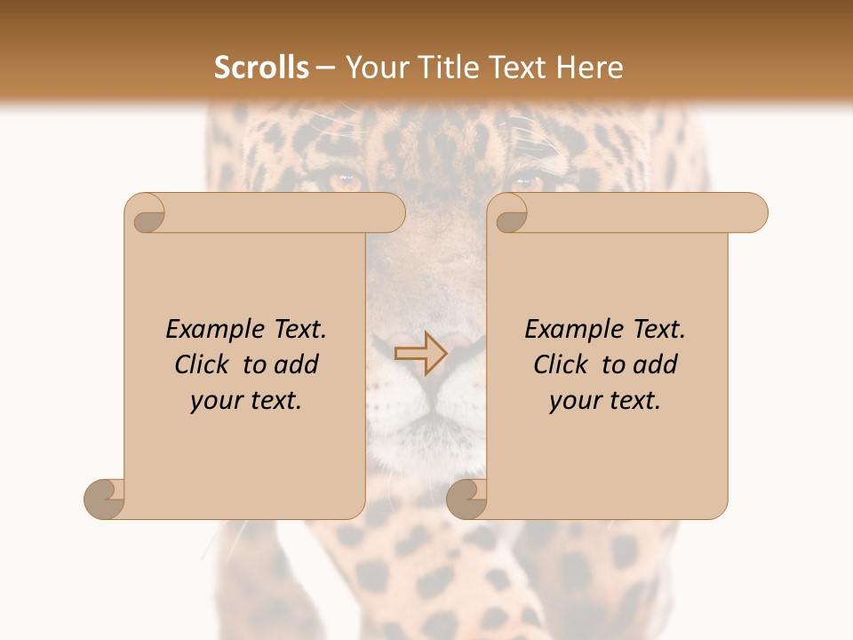 Bu Ine Humor Per On PowerPoint Template